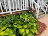 425 Prospect Street - Photo 38
