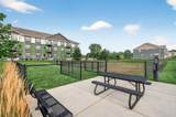 11205 Balsam Pointe Trail - Photo 33