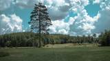 6809 Fire Hill Road - Photo 7