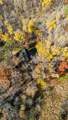6078 Sluetter Road - Photo 3