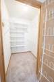 1778 Linden Cove - Photo 12
