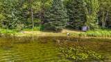 39130 Notebloom Lane - Photo 36