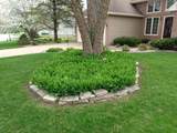 138 White Oaks Lane - Photo 42
