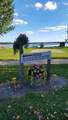 21588 Gull Lake Loop Road - Photo 3