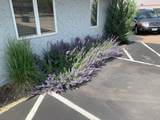 206 Scott Street - Photo 21