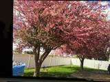 1665 Oakwood Drive - Photo 46