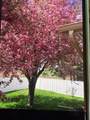 1665 Oakwood Drive - Photo 47