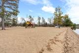 11472 Lynn Boyd Way - Photo 41