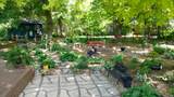 33198 540th Avenue - Photo 73