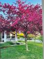 66 Meadowlark Drive - Photo 1