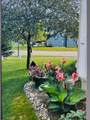 66 Meadowlark Drive - Photo 5