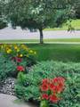66 Meadowlark Drive - Photo 8