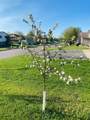 1271 Stone Ridge Road - Photo 32