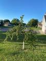 1271 Stone Ridge Road - Photo 33