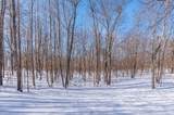8080 County Road 127 - Photo 39