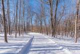 8080 County Road 127 - Photo 43