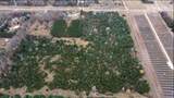 Lot 1 Kable Avenue - Photo 3