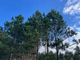 Lot 6 See Gull Cove - Photo 37