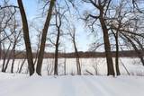 31475 163rd Avenue - Photo 4