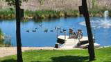 1235 Sutton Lake Boulevard - Photo 83