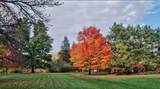 7331 175th Avenue - Photo 8