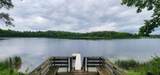 31819 Mallard Drive - Photo 4