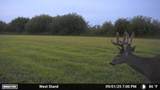 51339 350th Street - Photo 23