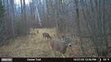 51339 350th Street - Photo 26