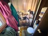 19367 680th Street - Photo 8