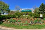 3932 49th Street - Photo 69