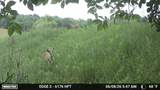 31500 Echo Valley Trail - Photo 114