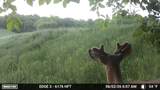 31500 Echo Valley Trail - Photo 117