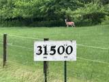 31500 Echo Valley Trail - Photo 118