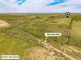 6606 Metso Road - Photo 2