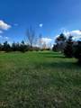 43295 Round Lake Drive - Photo 23