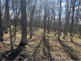 37880 Wilderness Parkway - Photo 4