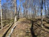 37880 Wilderness Parkway - Photo 7