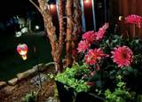 1101 9th Street - Photo 27