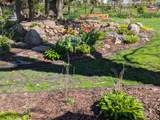 405 Vine Avenue - Photo 6