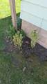 1706 2nd Street - Photo 7