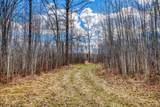 11005 320th Street - Photo 58