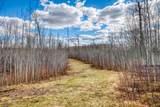 11005 320th Street - Photo 60