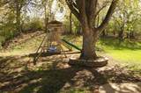 746 Belmont Lane - Photo 41