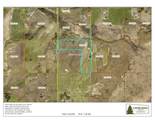 9671 Zallar Road - Photo 11