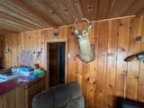 25845 Lou Rayne Beach Road - Photo 12