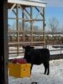 31528 63rd Street - Photo 49