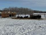 31528 63rd Street - Photo 52