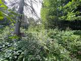7143 Highway 1 - Photo 48