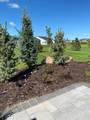 19325 103rd Avenue - Photo 23