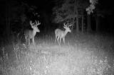 41621 County Highway 41 - Photo 57